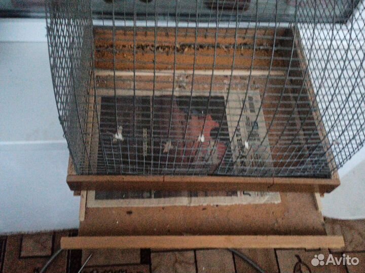 Клетка для птиц