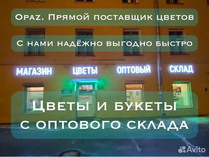 Розы Эквадор 101 51 25 15роз Бесплатная доставка