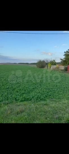 Участок 25 сот. (ИЖС)