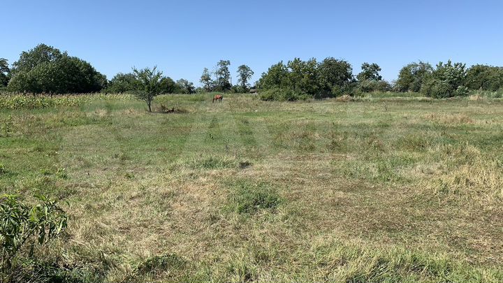 Дом 80 м² на участке 50 сот.