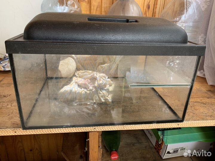 Террариум для черепахи