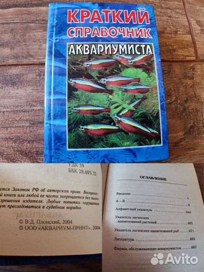 Книги Русские богатыри, как содержать кошку