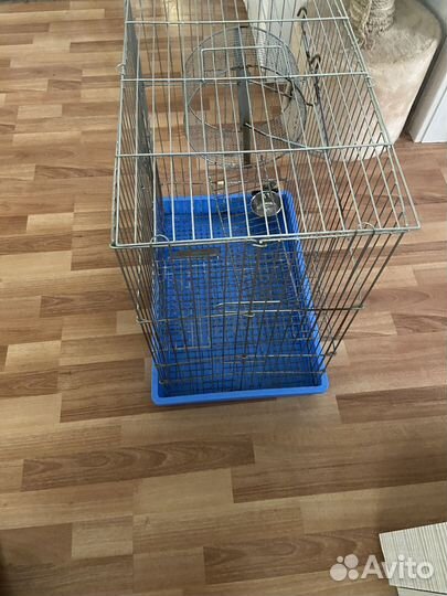 Клетка для грызунов бу