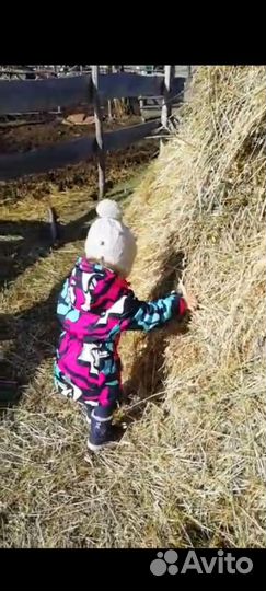 Куртка весна осень для девочки