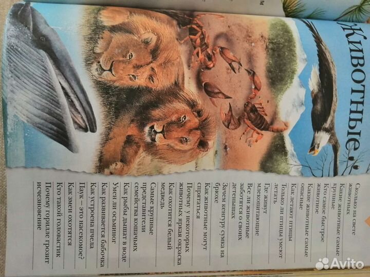 Большая книга 