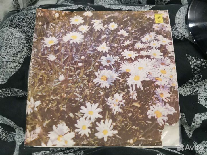 Пластинки гр.Зодиак, Поющие сердца, Звезды эстрады