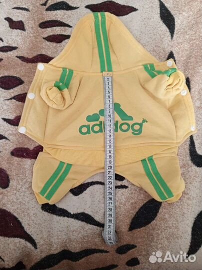 Одежда для собак мелких пород