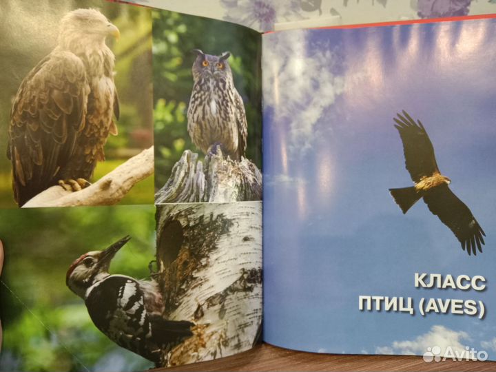 Книги детские