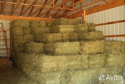 Солома в кипах