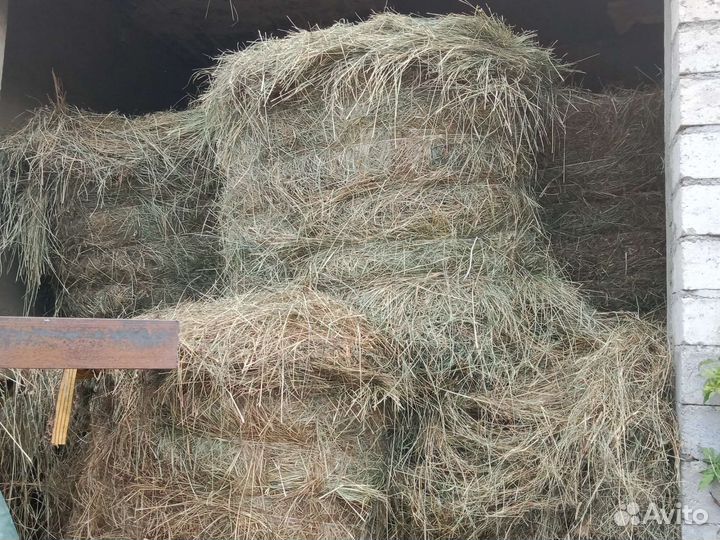 Сено зелёнка с высоких гор кавказа