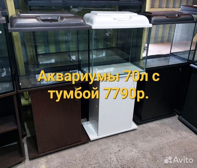 Аквариумы с тумбой