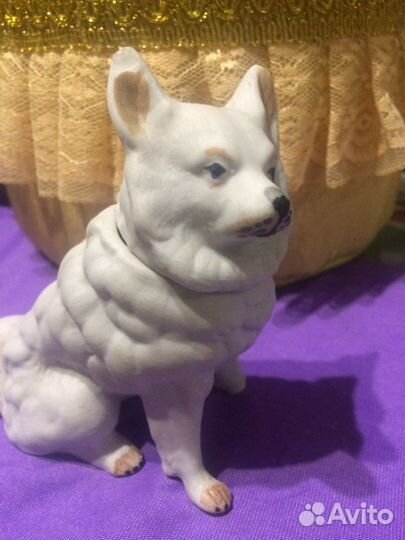 Самоед на реставрацию