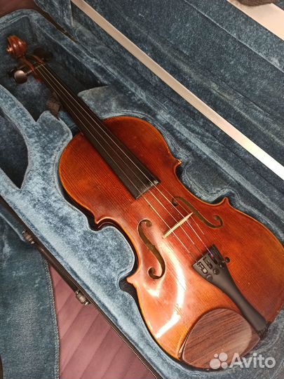 Скрипка 4/4, Германия