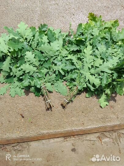 Веники берёзовые, дубовые, размер не большие