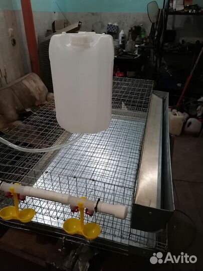 Клетки для перепелов