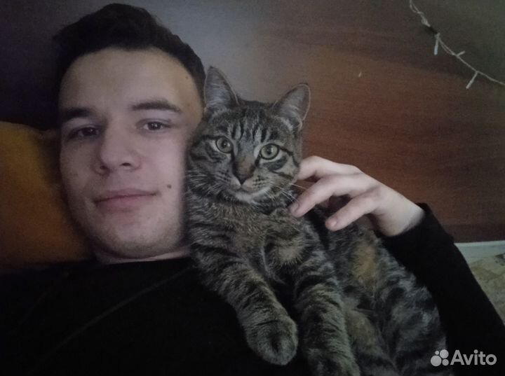 Мастер на час (Муж на час)