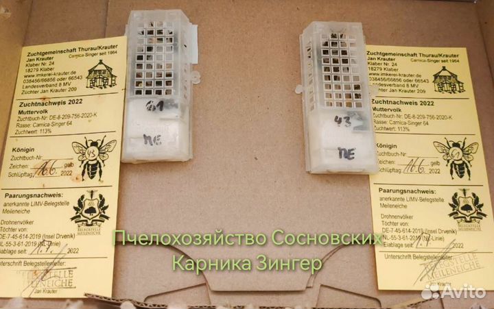 Пчелопакеты Карника 2025