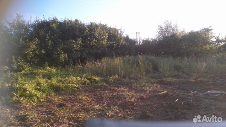 Спил деревьев