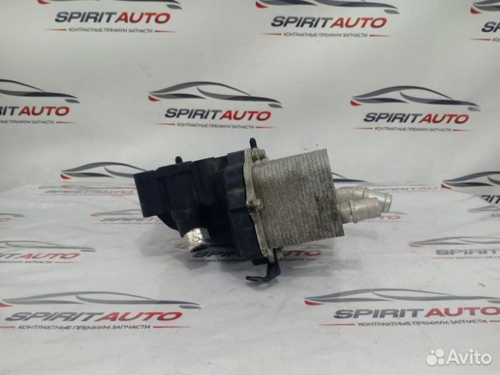 Радиатор масляный Kia Sorento 4 D4HE 2020-2024