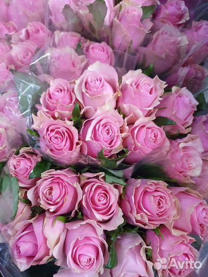 Розы оптом
