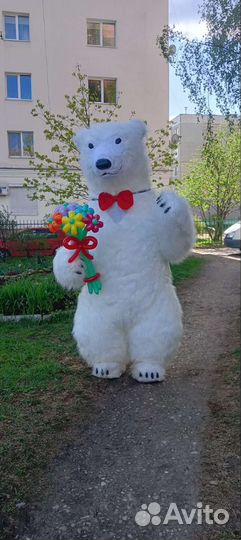 Поздравление от Кокоса