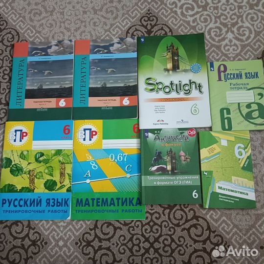 Рабочие тетради 6 класс Английский, Литература