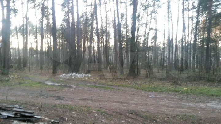 Участок 10 сот. (ИЖС)