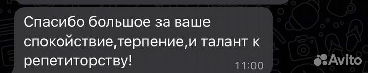 Репетитор по математике огэ/егэ индивидуально