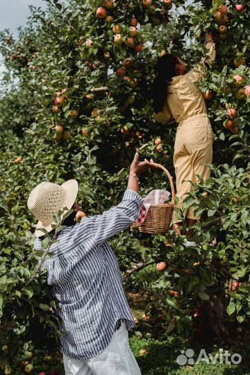 Повар с проживанием