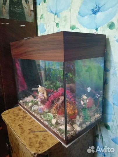 Аквариум