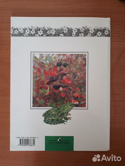 Окружающий мир 1 класс