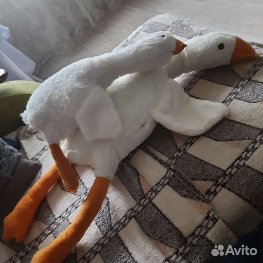 Гусь обнимусь