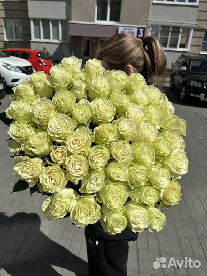 25 роз эквадор 80 см