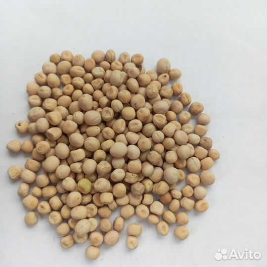 Продам горох продовольственный в мешках 40 т