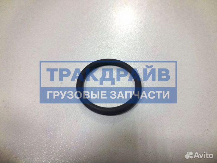 Кольцо уплотнительное форсунки Рено Магнум