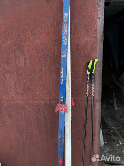 Беговые лыжи