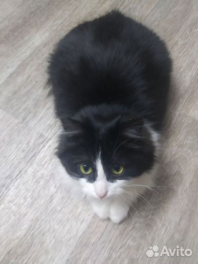 Девочка Ромашка ждёт заботливые ручки