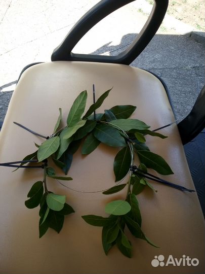 Лавровый венок