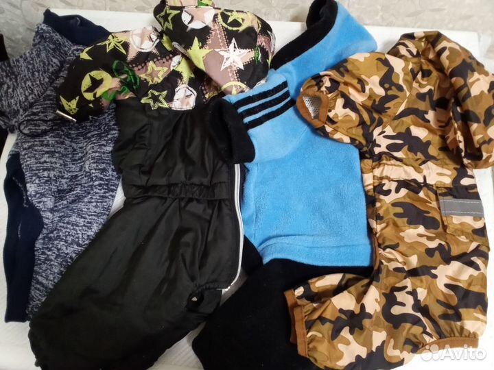 Одежда для собак