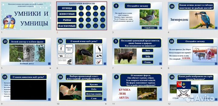 Создание презентаций в PowerPoint на заказ