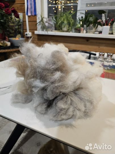 Собачья шерсть