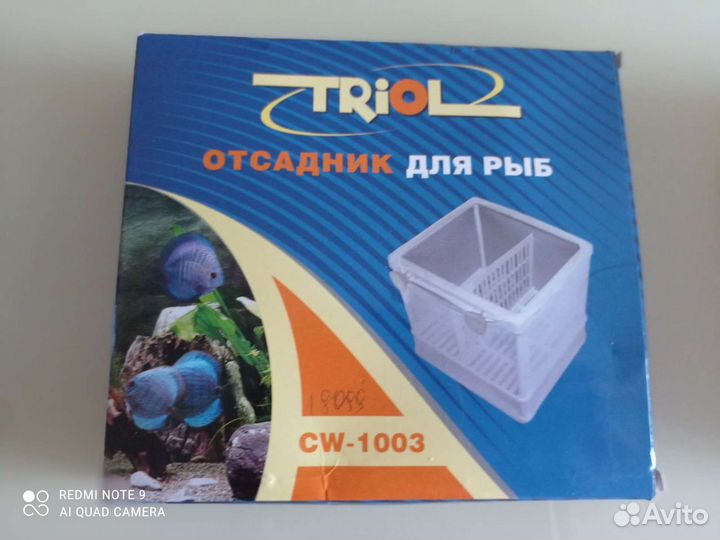 Отсадник для аквариума