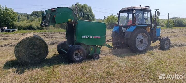 Сено лесное, костер