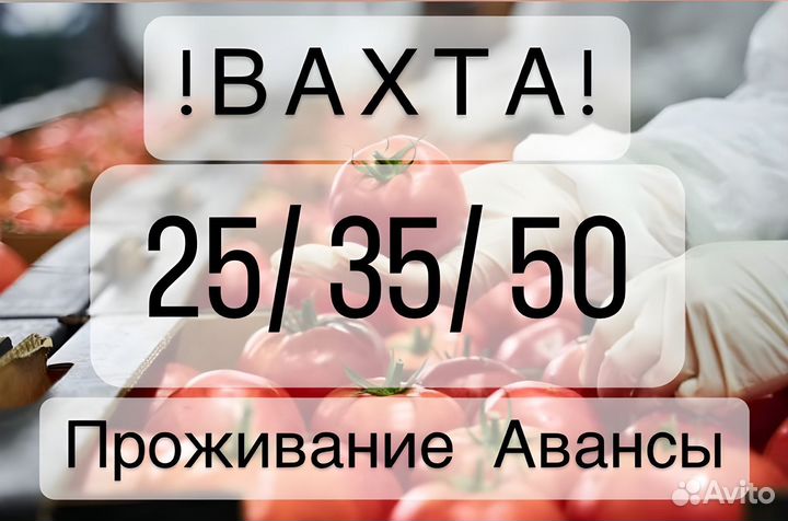 Фасовка томатов с проживанием в Туле