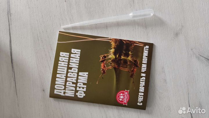 Муравьиная ферма