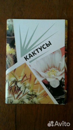 Новые наборы открыток ссср:кухня,музеи,кактусы