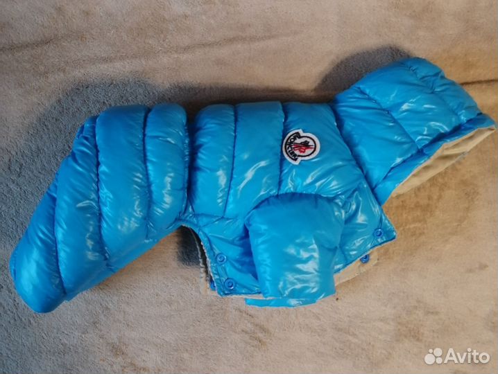 Одежда для маленьких собак зимняя