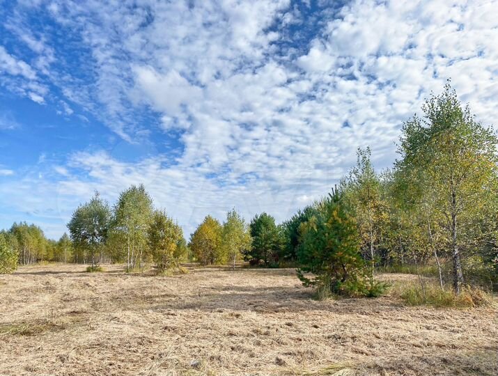 Участок 35 сот. (ИЖС)