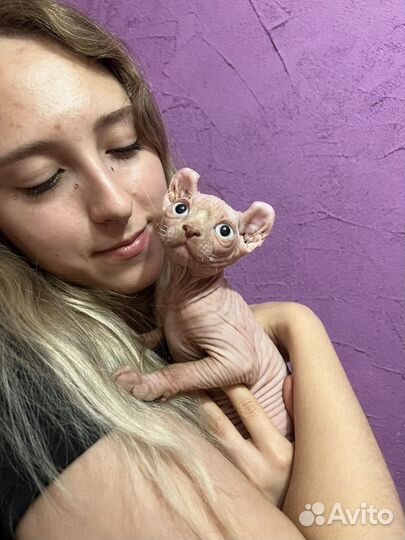 Малыши - эльфята