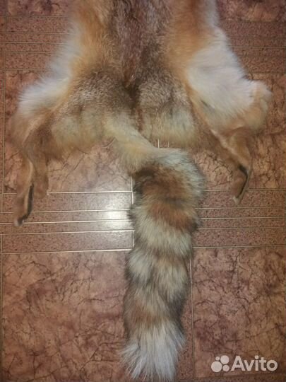 Шкуры лис